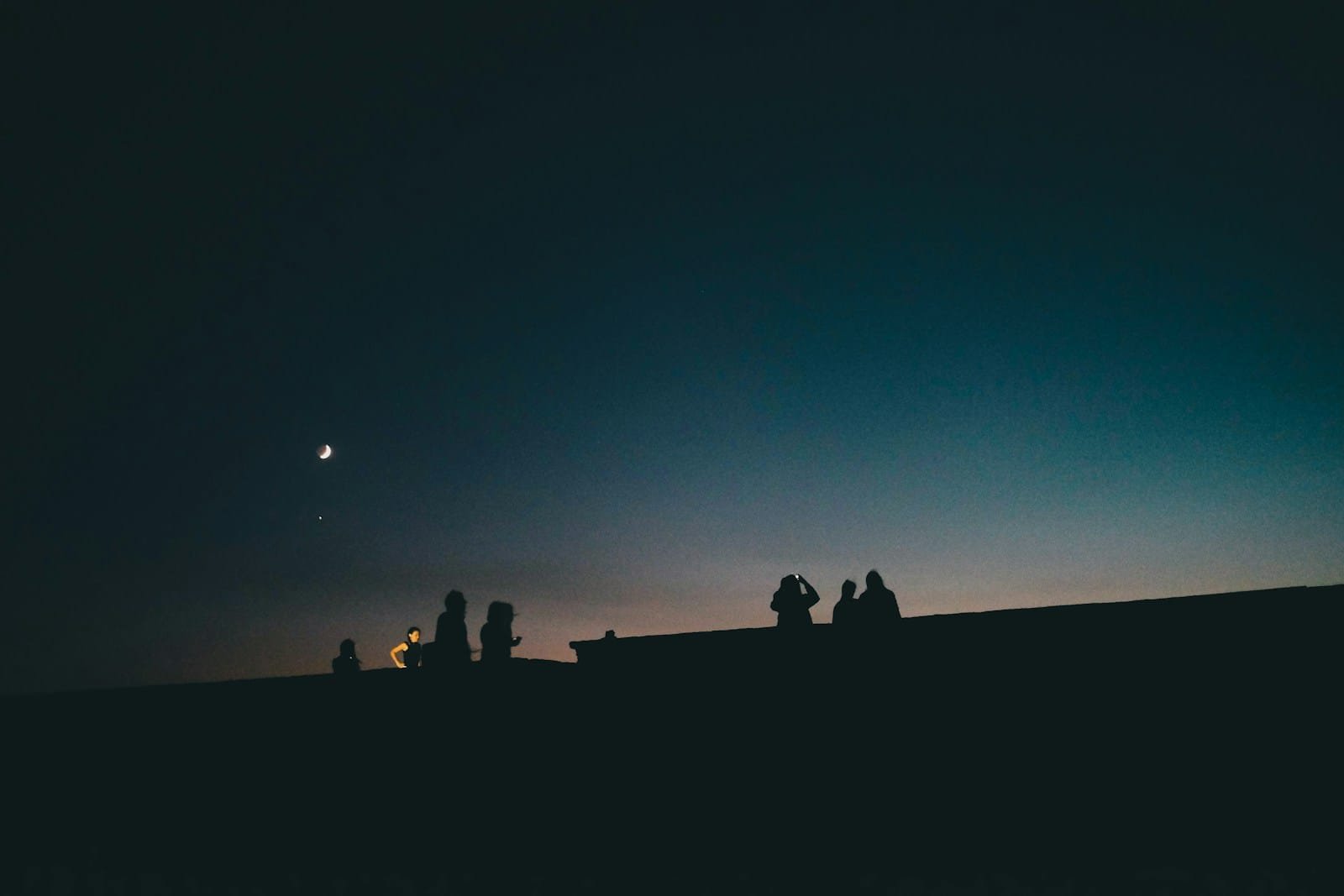 silhouette of people under clear sky